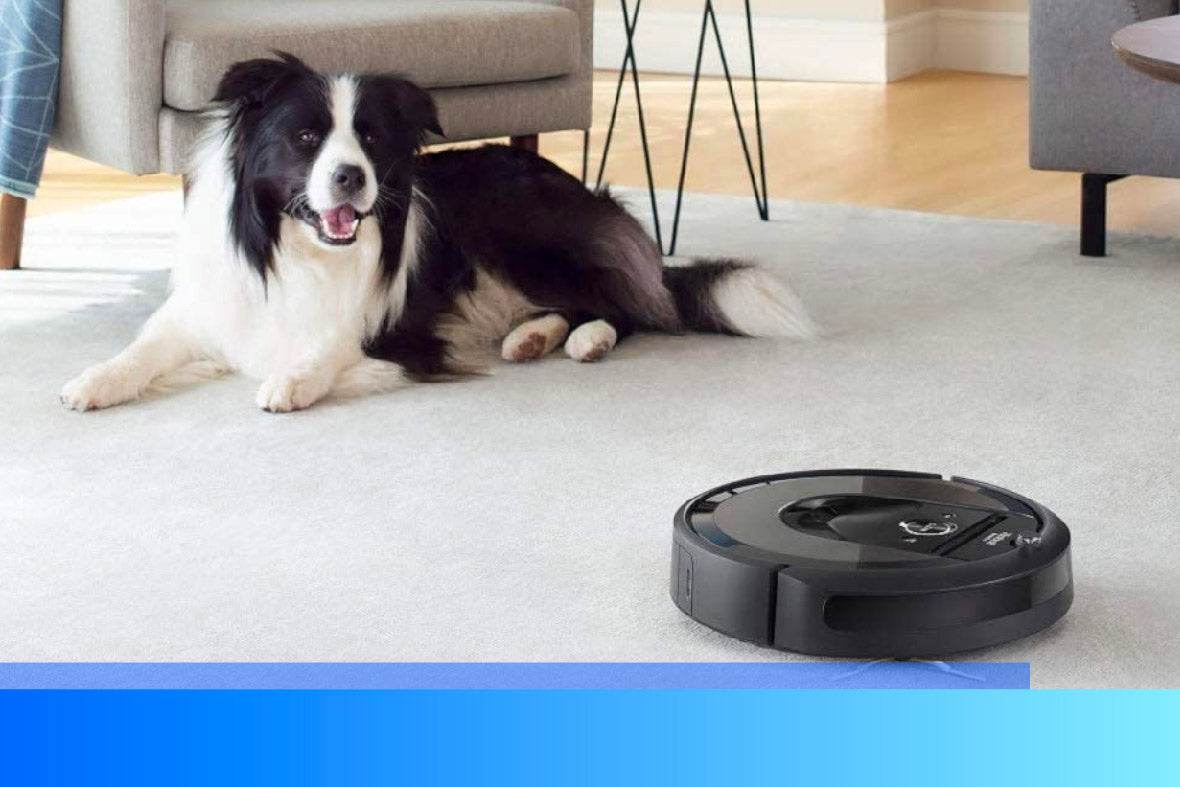 Do Pets Adjust Easily To Robotic Vacuums